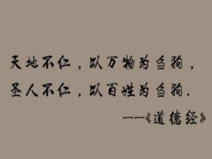 天地不仁以万物为刍狗圣人不仁以百姓为刍狗
