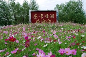 茶卡镇茶卡盐湖
