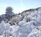 万佛顶