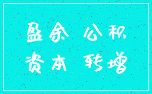 盈余公积