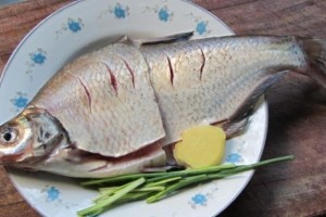 鳊鱼