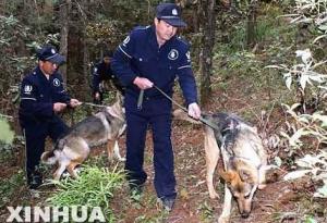 公安部昆明警犬基地--警犬和训犬员