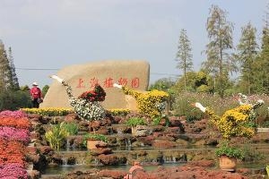 上海植物园