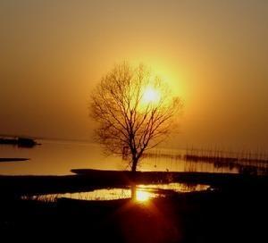 东淝河