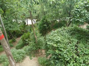 煤山遗址