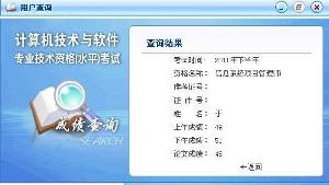 信息系统项目管理师成绩查询