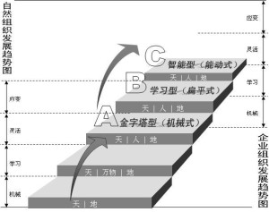 学习型组织