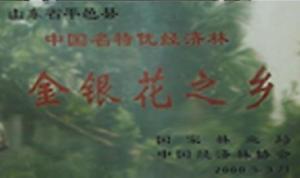 图3 平邑是金银花之乡