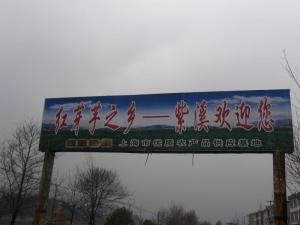 紫溪