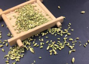 山西药茶槐米茶