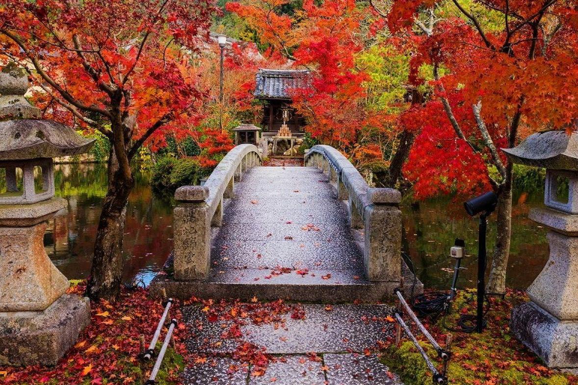 禅林寺(日本京都寺庙)_搜狗百科