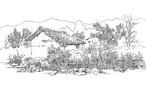 汤向钢笔画作品