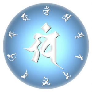 佛顶尊胜陀罗尼心咒