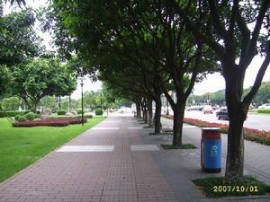 兴中道