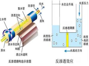 反渗透膜结构示意图