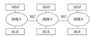 图2：分流MNP组网结构图