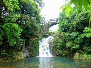 野鹤湫