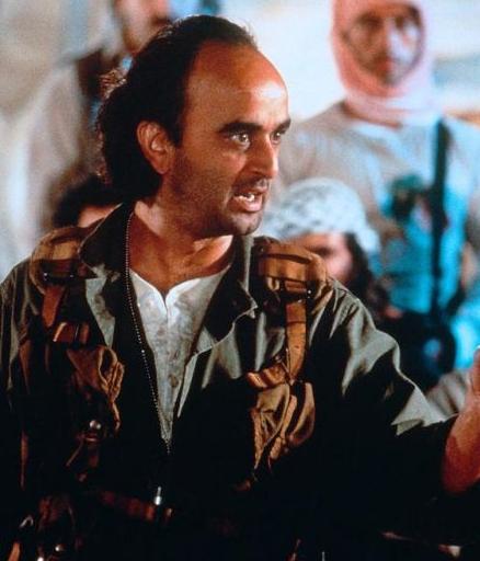 萨利姆(阿特·马里克 饰)