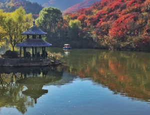历城区