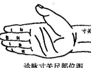 把脉诊法