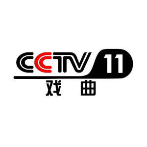 cctv-11