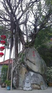 万石莲寺图册