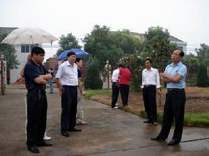 河溶镇