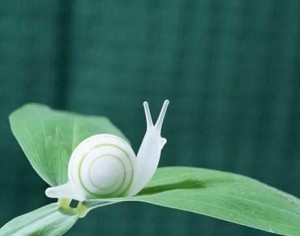 蜗牛的眼睛像什么 300