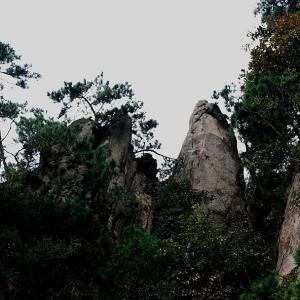 风景