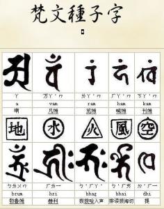 种子字相关图片