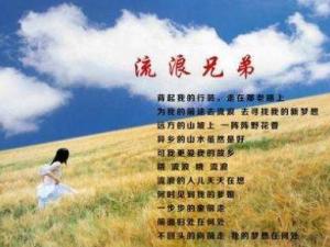 流浪兄弟
