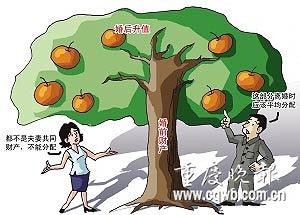 婚前财产