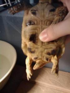 相关图片