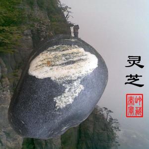 象形石 灵芝