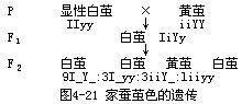 修饰基因例子-家蚕