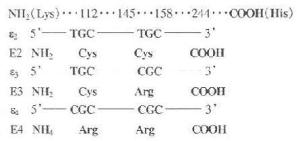 人ApoE改变位置 人ApoE改变位置