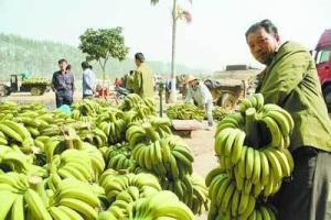 古潭乡农业