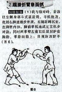 迷踪拳