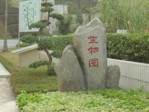 学校风景