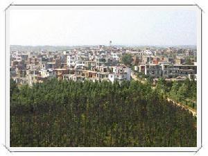 白沙洲乡