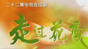 走过花季电视剧