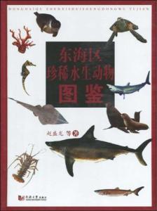 阔口真鲨