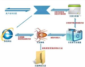百度蜘蛛工作图