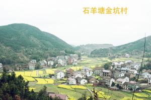 乡村概貌