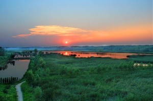 黄河故道湿地