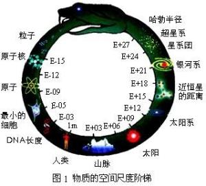 物质的空间尺度阶梯