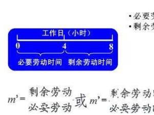 剩余价值率