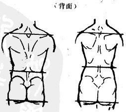 股上长