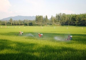 农民喷药作业