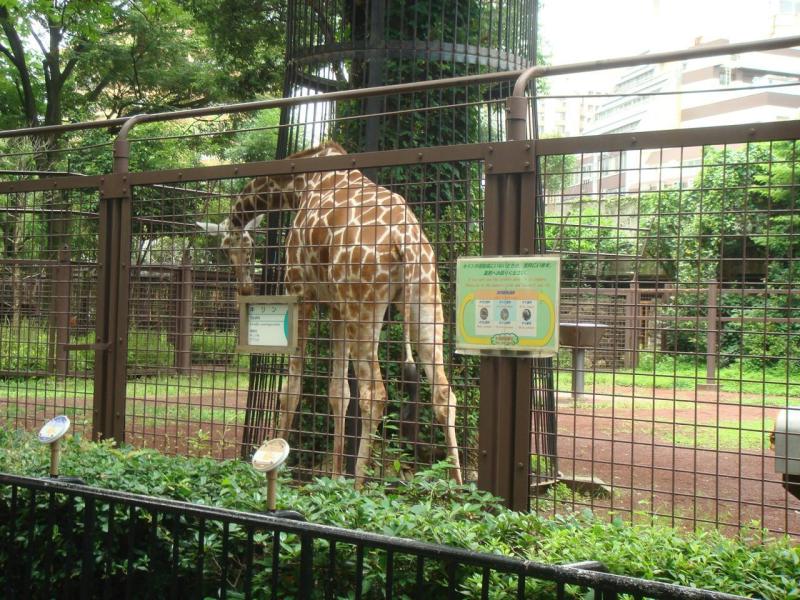 上野动物园 搜狗百科